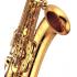 Yamaha YTS62 Professional Bb Tenor Saxophone 