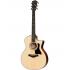 Taylor 314ce Special Edition V Class Acoustic Guitar with ES2 Electronics 