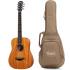 Taylor BT2 Baby Taylor Acoustic Guitar