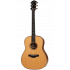 Taylor 717 Grand Pacific Acoustic 