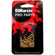 DiMarzio Pickguard and Backplate Screws - Set Of 24 - Gold
