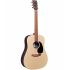 Martin D-X2E Dreadnought Acoustic-Electric - Rosewood