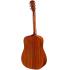 Eastman PCH1-D Solid Top Acoustic Guitar
