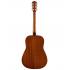 Fender CD-60S V2 Solid Spruce Top Acoustic Guitar Pack 