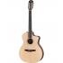 Taylor 214ce-N Nylon Acoustic-Electric Guitar - Natural