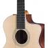 Taylor 214ce-N Nylon Acoustic-Electric Guitar - Natural