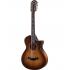Taylor 652ce Builder's Edition 12-String Acoustic Guitar with Pickup - Wild Honey Burst