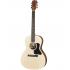 Gibson Acoustic Modern G-00 - Natural *SUPER SPECIAL*