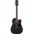 Ibanez AW8412CE WK 12 String Acoustic Guitar - Weathered Black