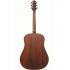 Ibanez AAD100 OPN Acoustic Guitar- Open Pore Natural