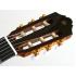 Yamaha CG182S Solid Top Classical Guitar