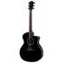 Taylor 214ce-BLK DLX Acoustic/Electric Guitar