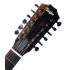 Taylor 250ce-DLX Acoustic/Electric Guitar - Black