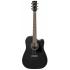 Ibanez PF16MWCE WK Acoustic Guitar with pickup